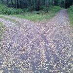 Развилка дорог в осеннем лесу