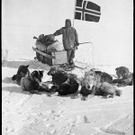 На Южном полюсе, норвежская экспедиция Р.  Амундсена