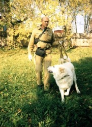 Кавказская овчарка Берг была подготовлена для охраны частной аптеки