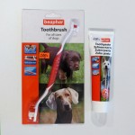 Зубная щетка и зубная паста для собак