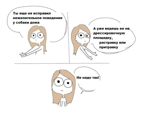 Вы еще не обучили свою собаку дома, а уже ведете ее получать "профессию" на дресс.площадке